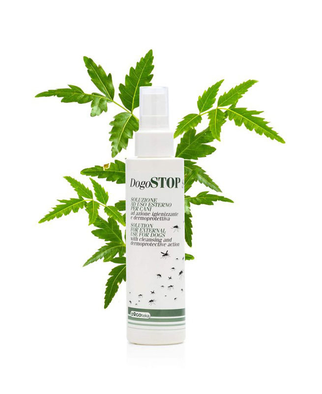 1767373144Sprej 2.jpg